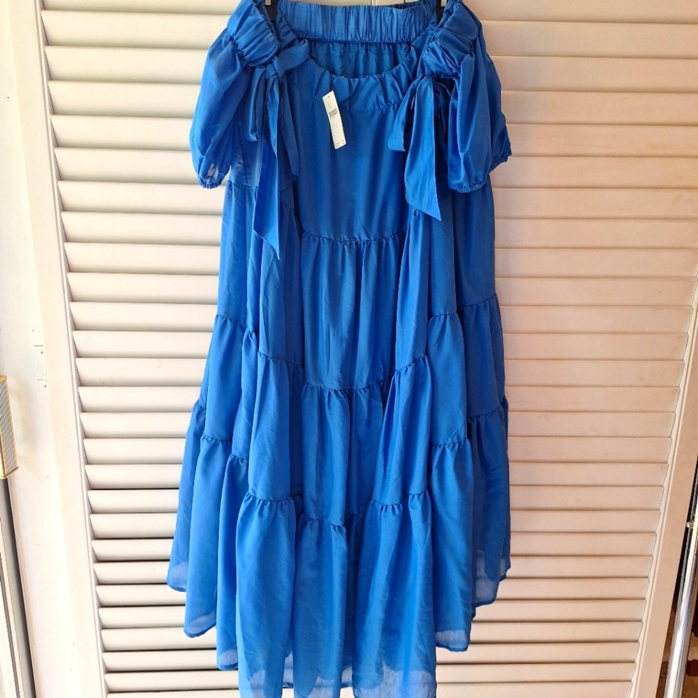 Anthropologie Blue Ruffled Chiffon High-Low Dress - Picture 9 of 16